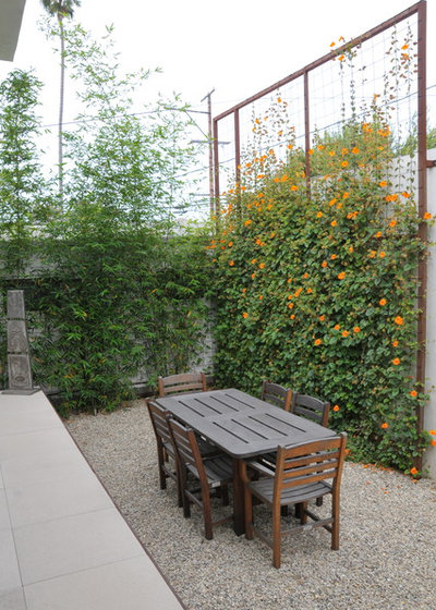 Moderne Jardin by SB Garden Design