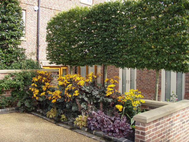 Which plants to choose to compose a garden hedge?
